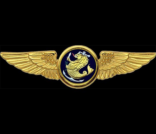 MCGA Badge 2